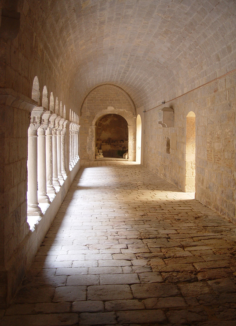 Restauració del claustre del Monestir de Sant Daniel