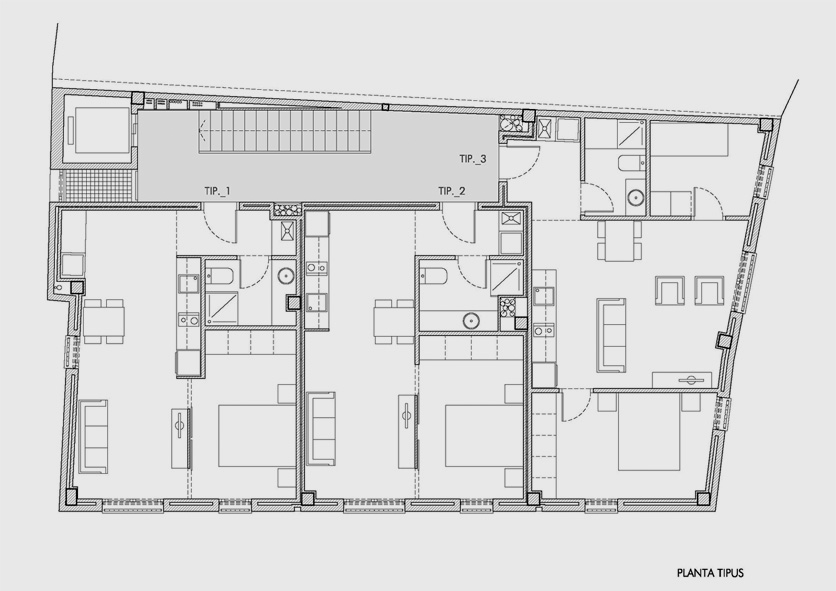 10 habitatges protegits i un local
